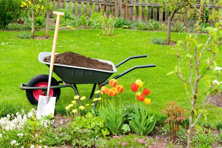 Wheel barrow carrying compost for garden and with a shovel beside it - When To Add Compost To Your Garden