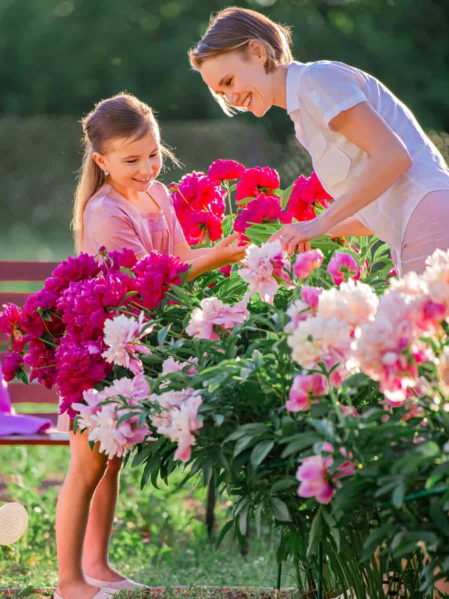 Mom and daughter in a linen pink dress take care of peonies in the garden at the cottage