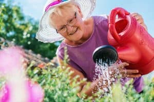 Read more about the article 16 Awesome Gifts For Elderly Gardeners