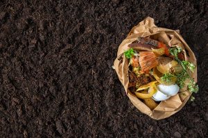Read more about the article What Can Go In A Compost Tumbler?
