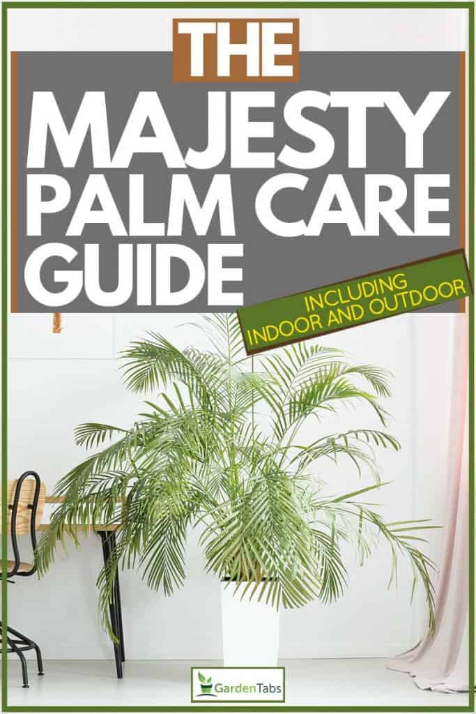The Majesty Palm Care Guide Inc