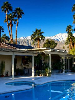 Mid 20th Century house with backyard pool and curved patio area in Coachella Valley, California, 35 Palm Tree Garden Ideas