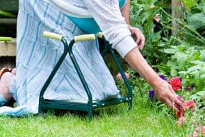 Read more about the article Top 10 Garden Kneelers With Handles