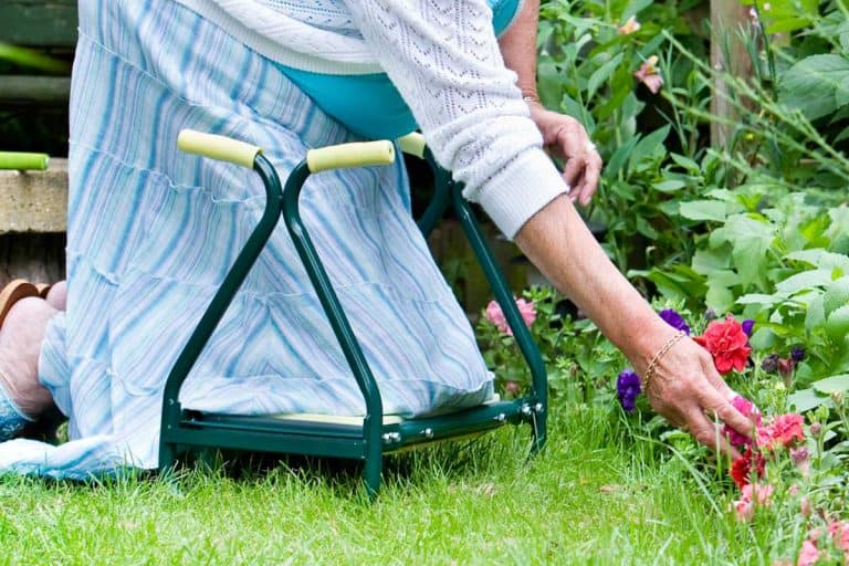 Senior lady making use of a dedicated tool to help her kneel and return standing so she can continue to tend to her garden, Garden Kneelers With Handles