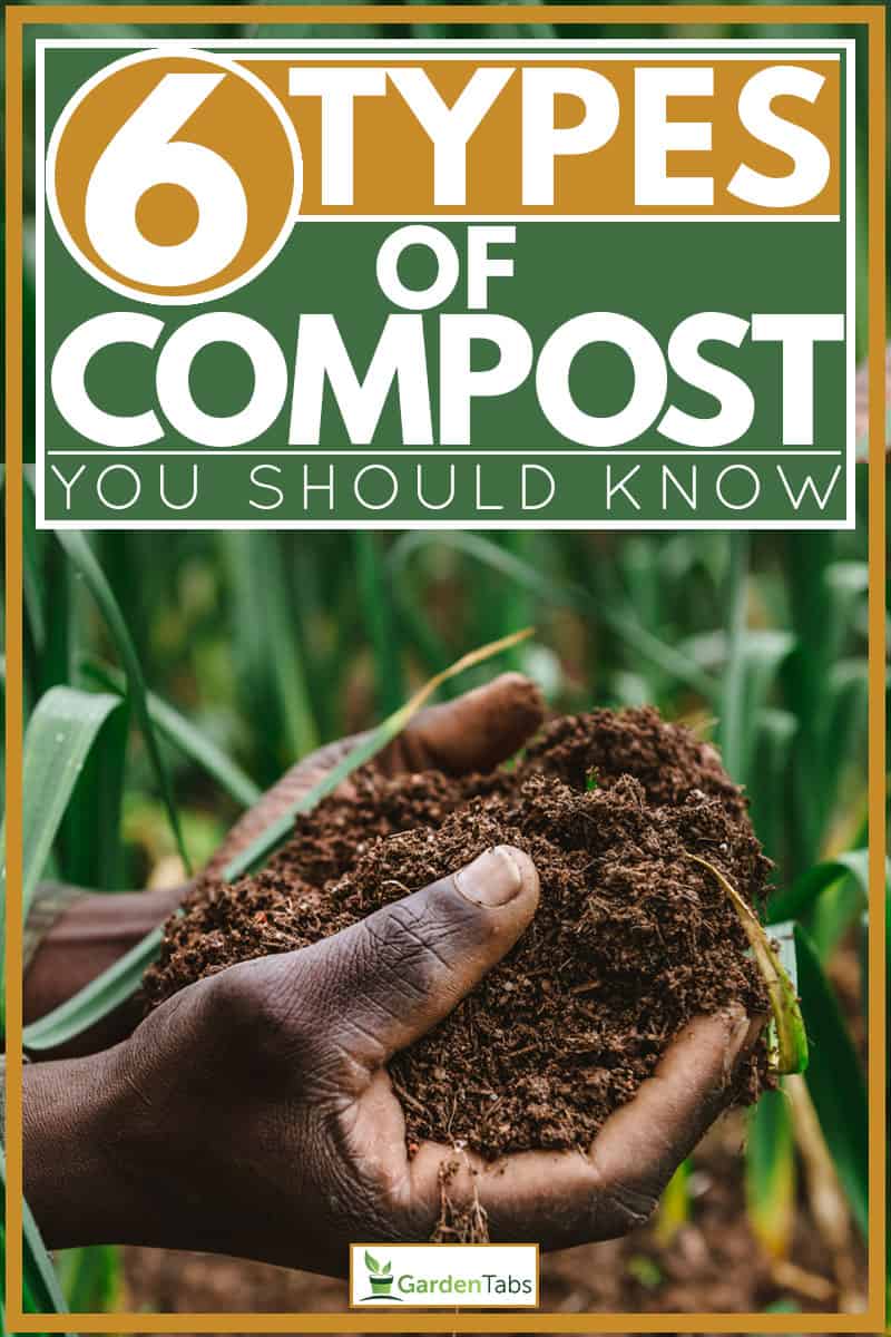 Man holding compost soil for planting, 6 Types of Compost You Should Know