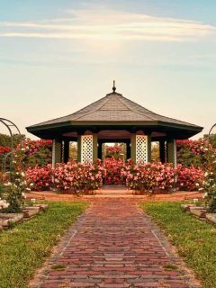 Beautiful formal rose garden late in the day, 33 Gorgeous Rose Garden Ideas [Photo Inspiration]