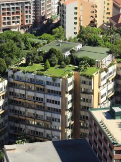 Beautiful pasture and trees at roof top of building, What Are The Common Problems With Rooftop Gardens?