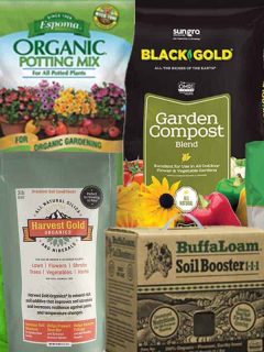 Collage of best loam-based compost mixes, 11 Best Loam-Based Compost Mixes