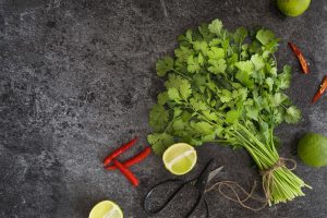 Read more about the article How To Grow Cilantro Indoors