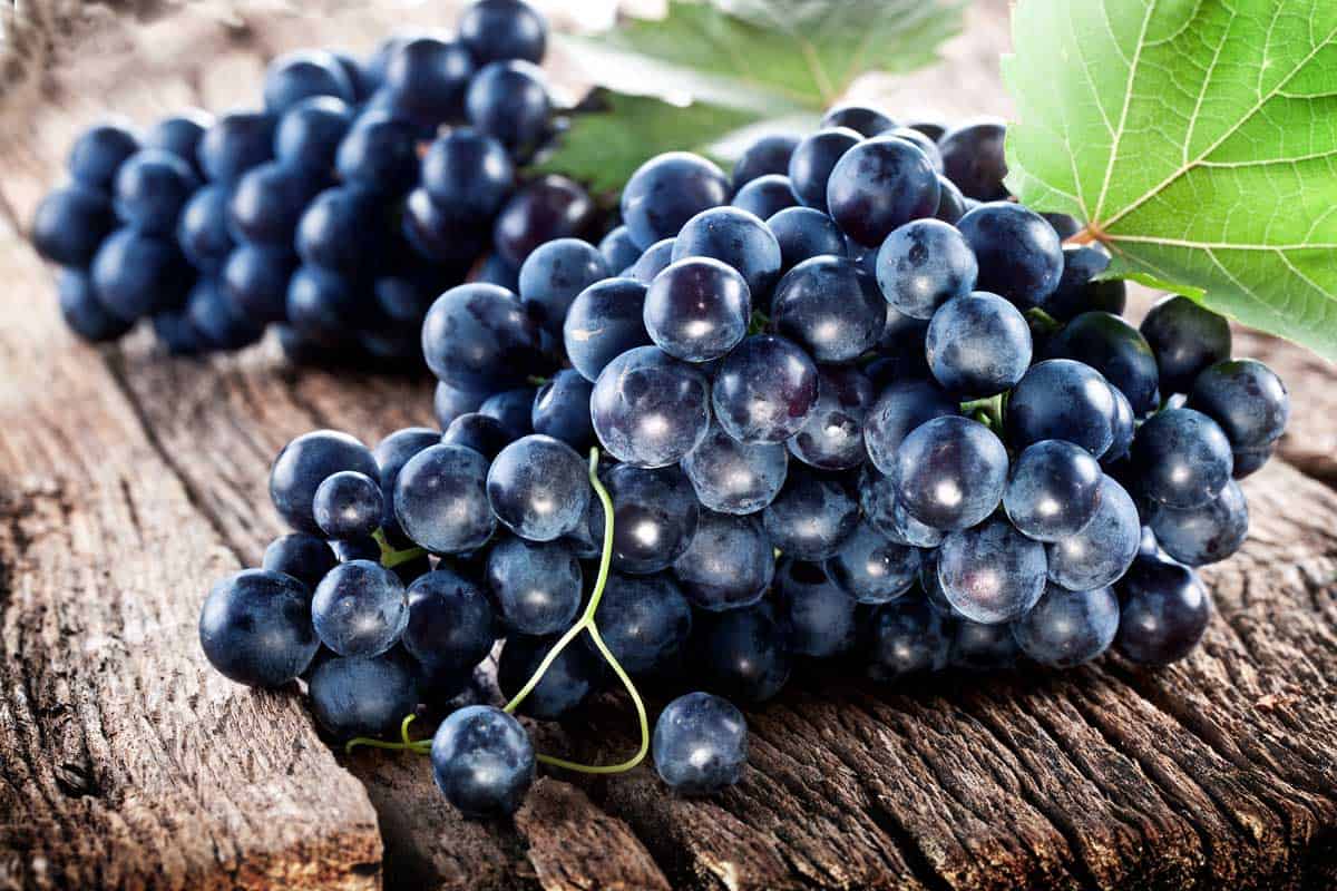 Grapes on a old wooden table, Can Grapes Be Grown Indoors? [Here's a Step-by-Step Guide]