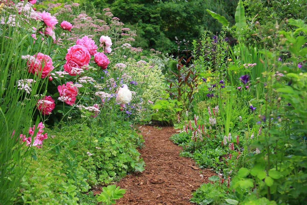 Pretty path in an English cottage garden