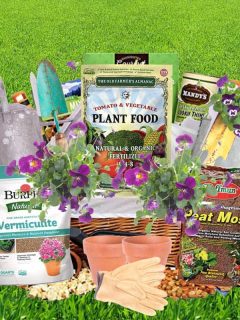 A gardening gift boxes full of gardening kits, 16 Gardening Gift Baskets And Kits You Should See