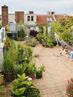 Relaxing urban roof garden with hammock, What Are The Benefits of a Rooftop Garden?