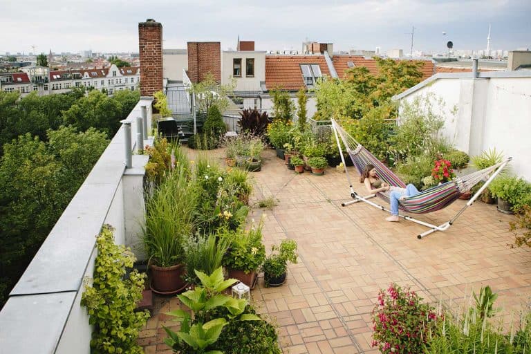 Relaxing urban roof garden with hammock, What Are The Benefits of a Rooftop Garden?