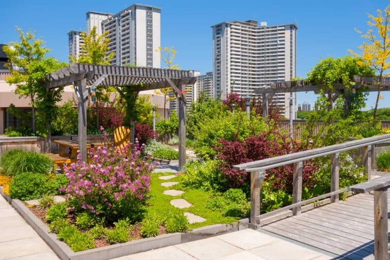 Roof Garden on the top of an apartment building, How Do You Protect a Terrace, Patio or Roof Garden From Rain?