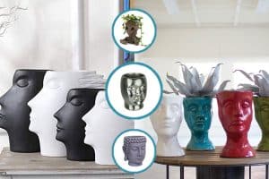 Read more about the article 15 Gorgeous Head-Shaped Planters