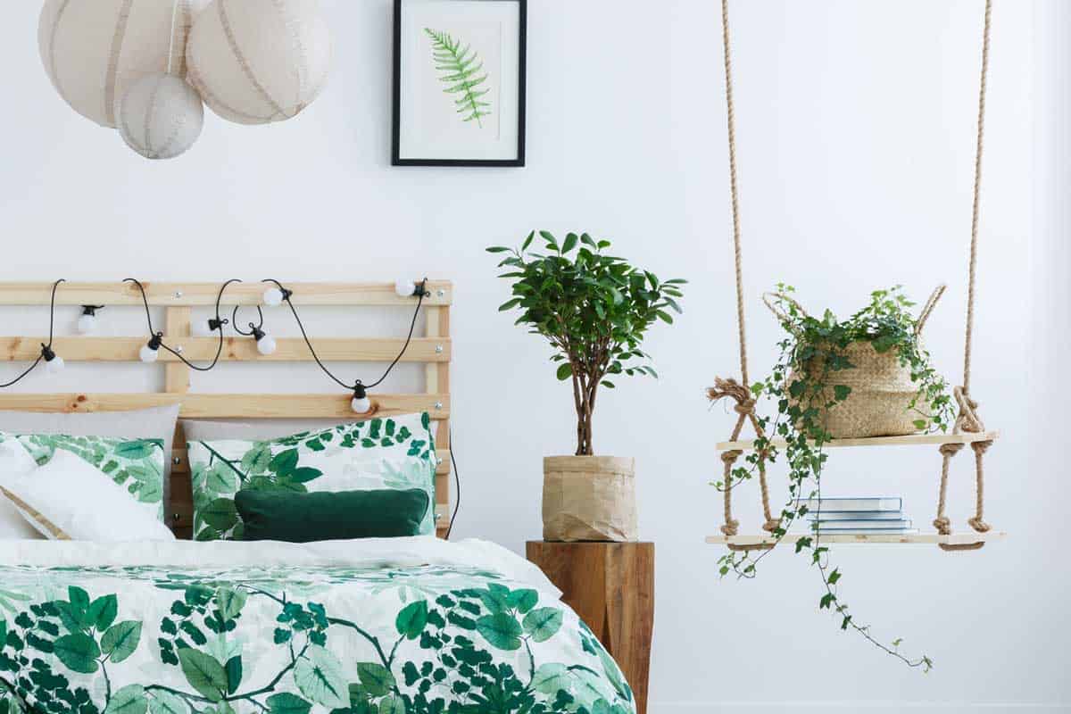 garden theme bedroom with hanging plants, 15 Best Hanging Plants For Bedroom