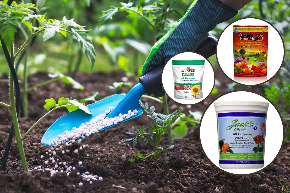 A collage of plant fertilizers with a farmer giving granulated fertilizer to young tomato plants on the background, 15 Best All-Purpose Plant Fertilizers [Liquid, Powder and Granular]