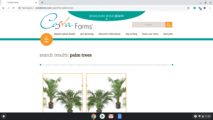 Costa Farms page showing palm trees for sale