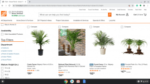 Home Depot page showing palm trees for sale