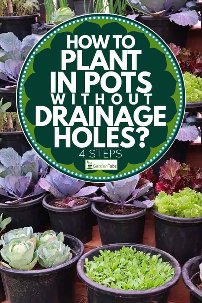 Plant In Pots Without Drainage Holes, Do Outdoor Pots Need Drainage Holes