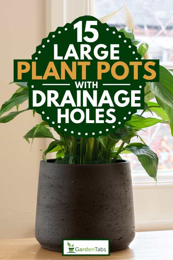 15 Large Plant Pots With Drainage Holes, Large Outdoor Plant Pots With Drainage Holes