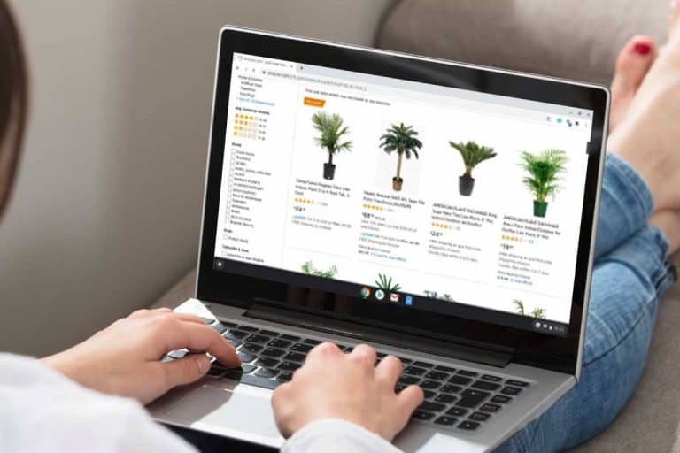 Woman online shopping buying palm trees on Amazon website, Where To Buy Palm Trees [29 Online Stores]