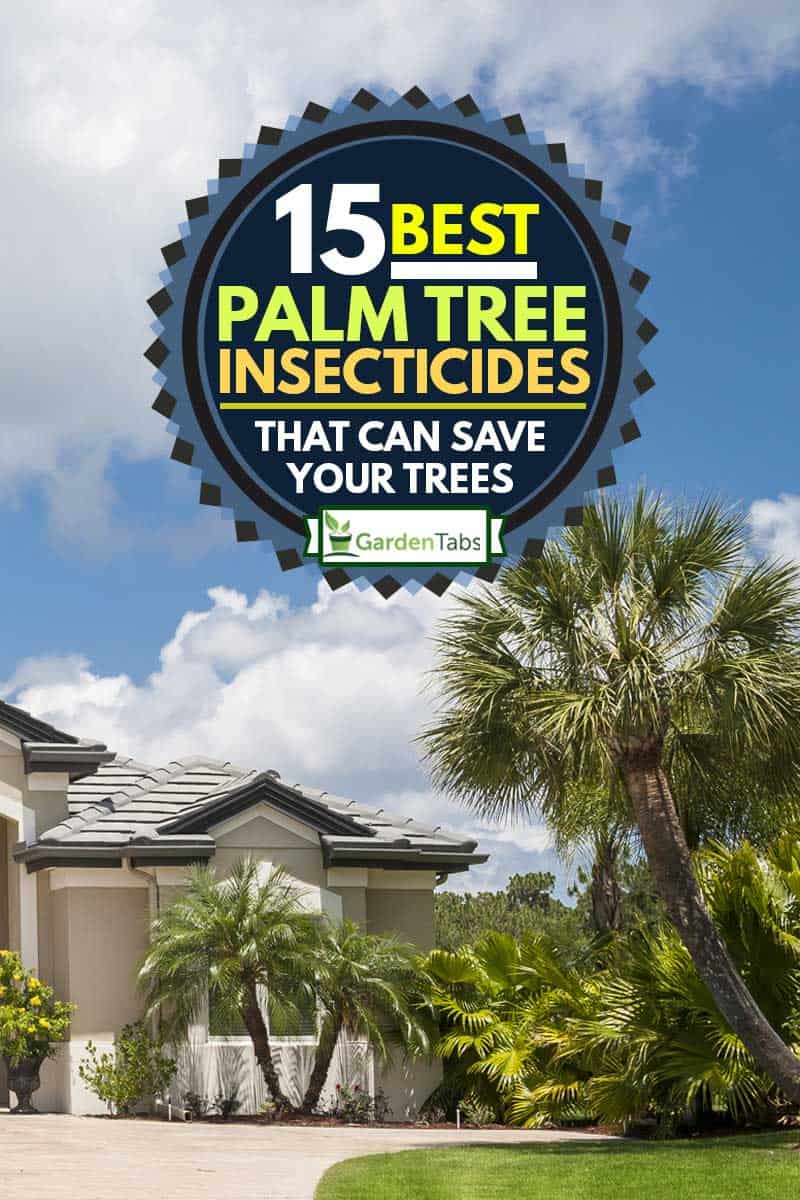 New luxury home in the tropics with driveway, palm trees, lush tropical foliage, front lawn in Florida, 15 Best Palm Tree Insecticides That Can Save Your Trees