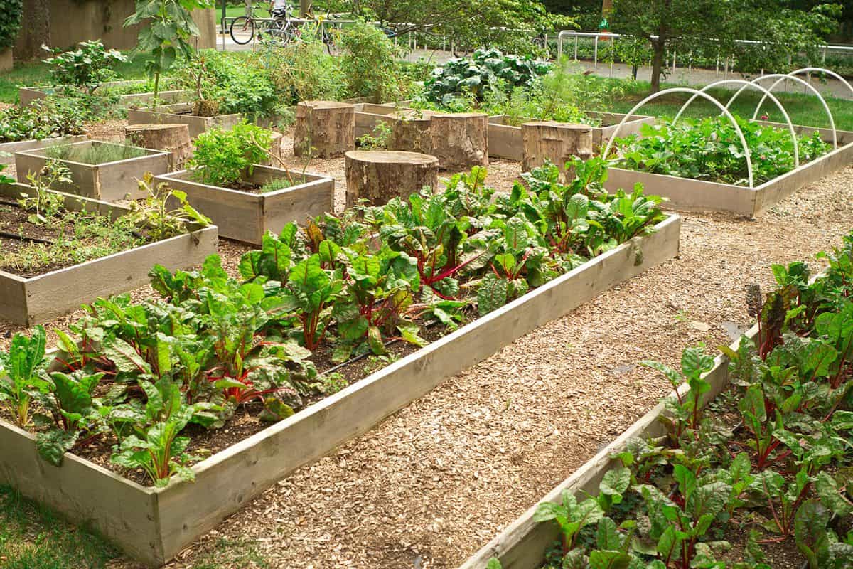 Urban community garden