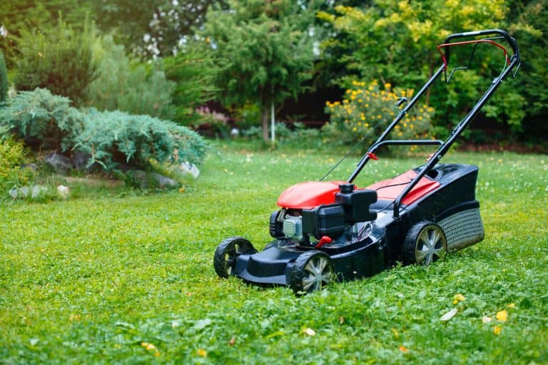 A lawn mower placed on the garden, Lawn Mower Blowing White Smoke - What To Do?