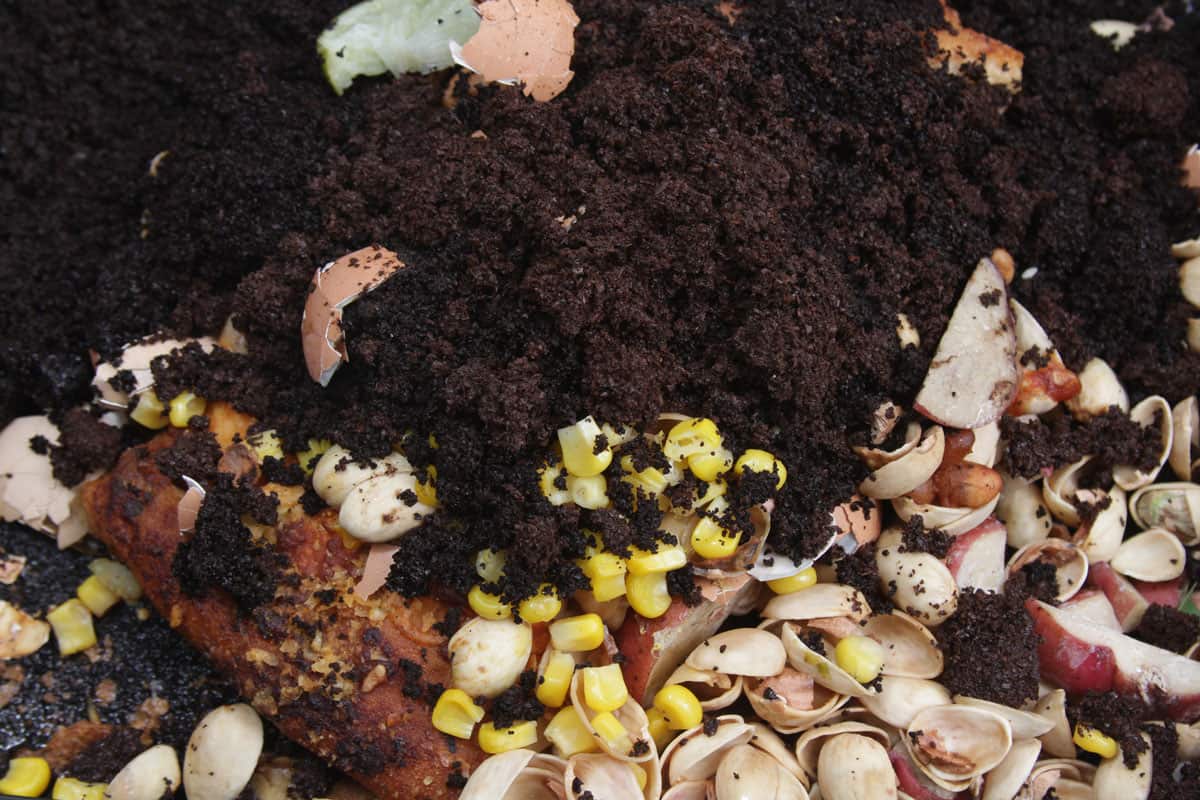 raw vegetables, coffee grounds for compost