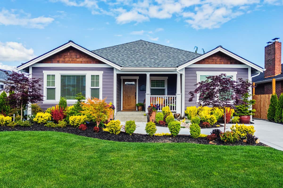 A small ranch themed house with purple sidings, gray asphalt roofing, and a beautiful garden with plants and flowers, 7 Best Plant-Safe Exterior House Cleaners