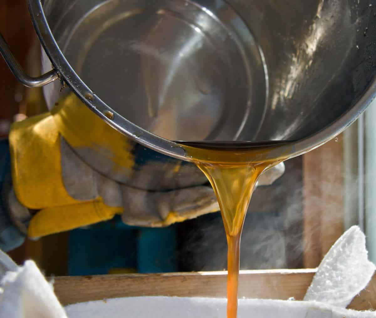 Pouring maple syrup from bucket into strainer