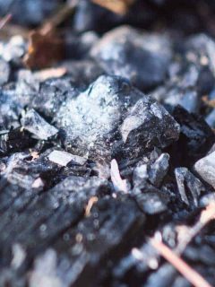 Close up of pile of charcoals in firepit in spring sun, Does Wood Ash Kill Moss Or Weeds?