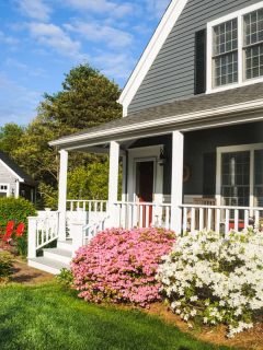 Azalea bushes in pink and white decorate the front porch of this Cape Cod Home, Why Is My Azalea Dying?