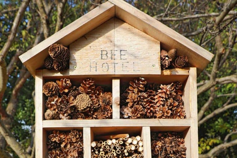 Bee hotel and garden in autumn, Where To Place A Bee Hotel In The Garden