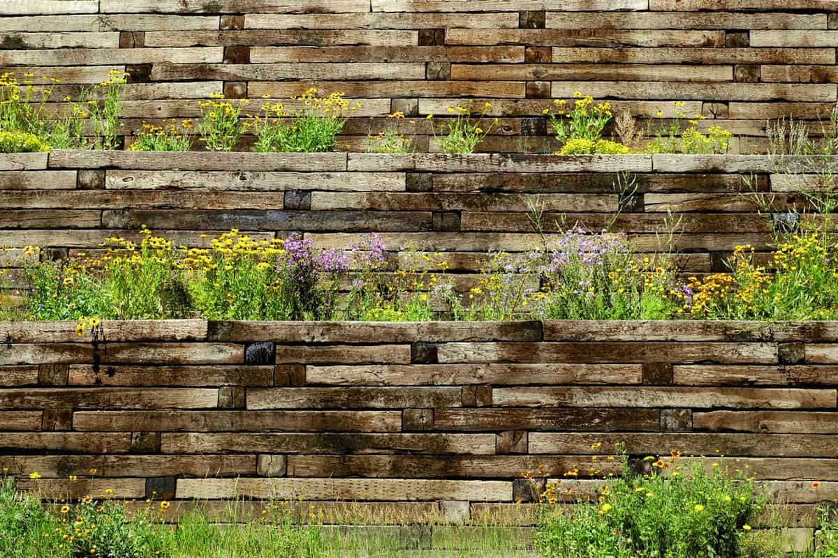 Different layers of retaining wall with small marigold and lavender on the planters