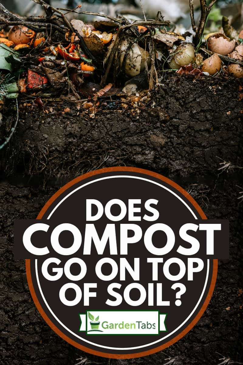 Active Living Backyard Compost Pile With Visible Layers, Does Compost Go On Top Of Soil?