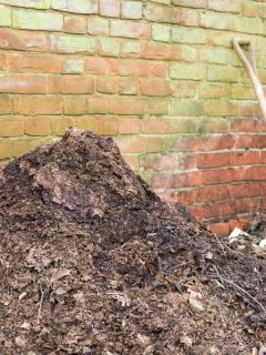 Homemade garden compost heap with leaf mould for use as a mulch or organic fertilizer, Why Is My Compost Turning White?