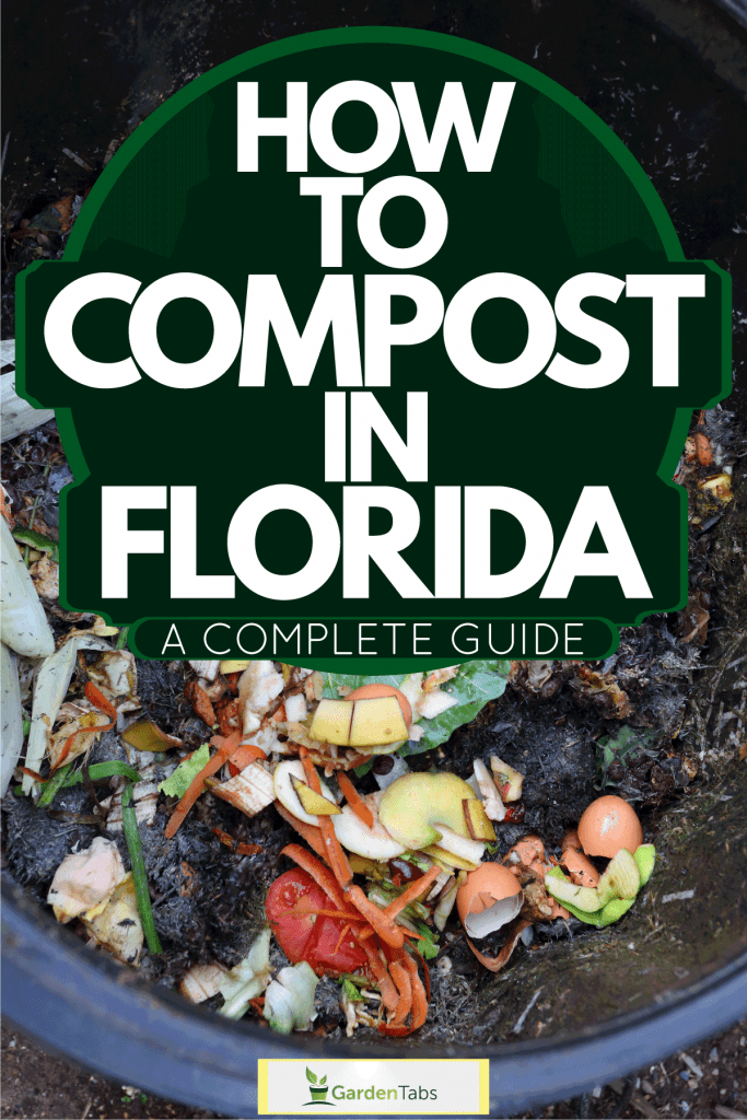 Shredded vegetable and other elements inside a small compost bin, How To Compost In Florida [A Complete Guide]