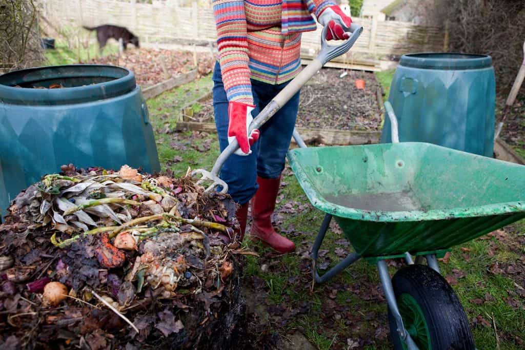 Putting the undecomposed food waste back into a composting bin
