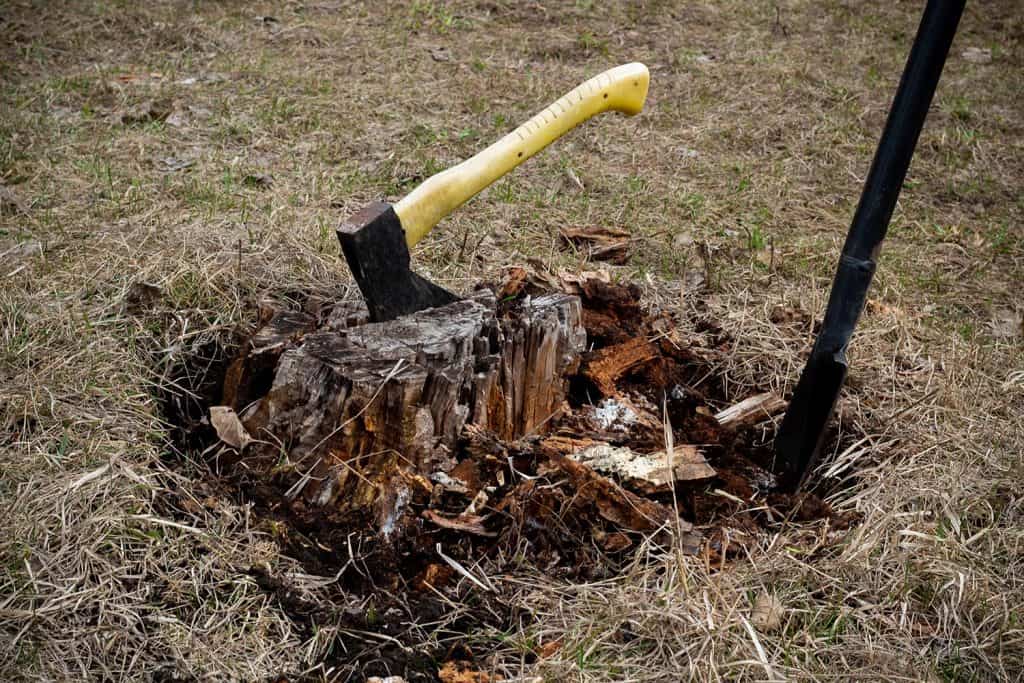 Uprooting the old stump
