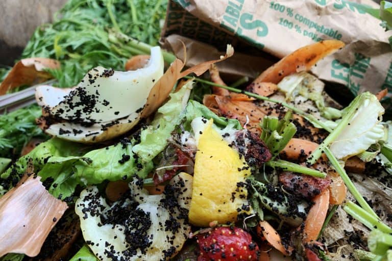 Vegetable leftovers and other fruit peels inside a compost bin, How Hot Does Compost Get? [And Can It Get Too Hot]