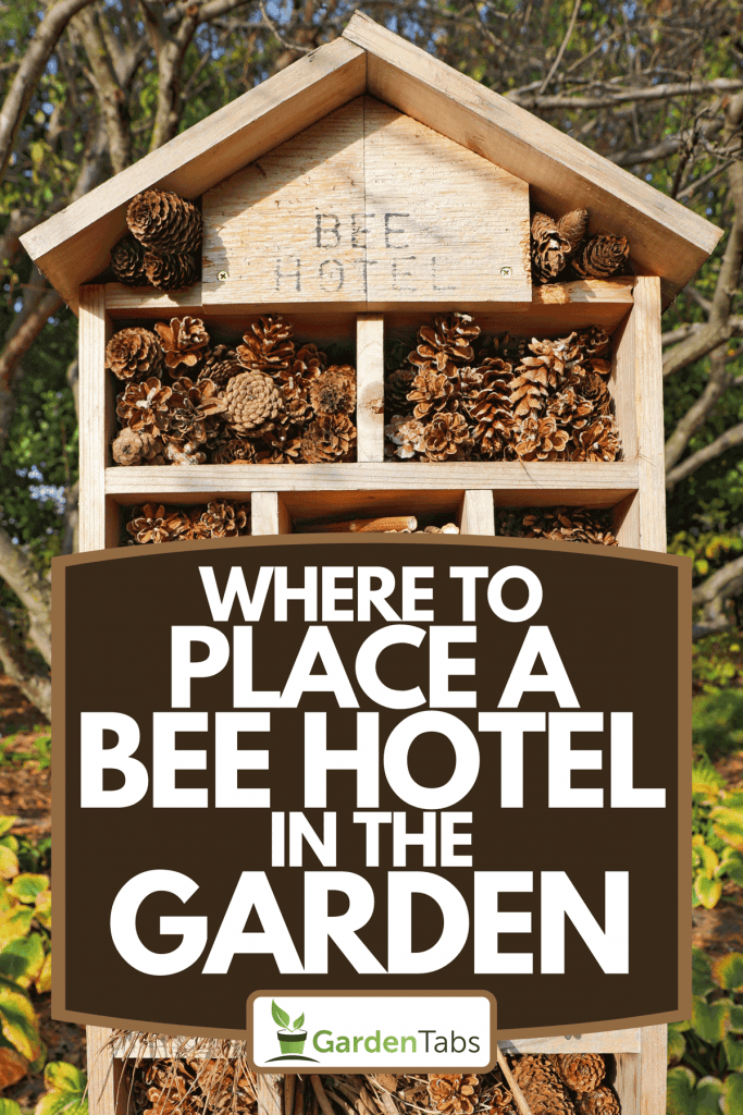 A bee hotel and garden in autumn, Where To Place A Bee Hotel In The Garden