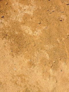 Detailed photo of sandy texture photographed up close, Does Sandy Soil Need Aeration?