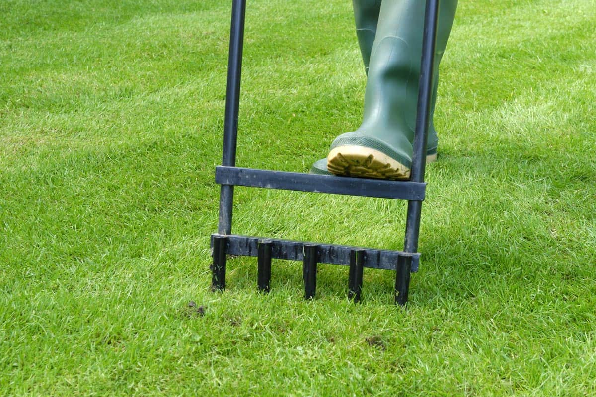 Man aerating in his lawn, Can You Over Aerate Your Lawn?