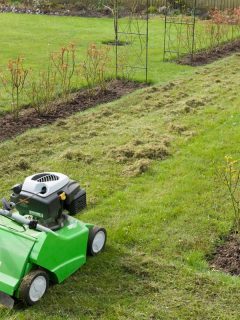 A man scarifying his lawn, Should You Aerate Your Lawn Every Year?