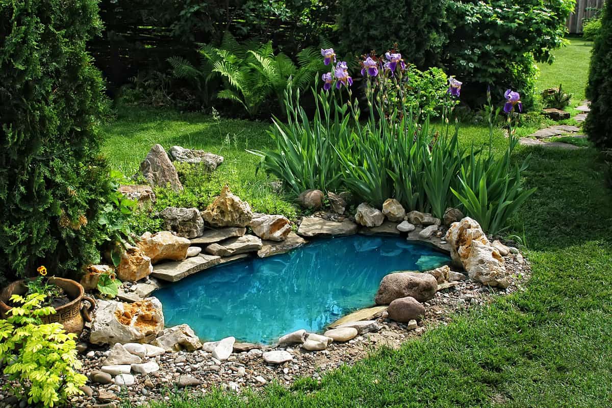 A small blue pond in a beautiful backyard, How To Build A Pond In Sandy Soil