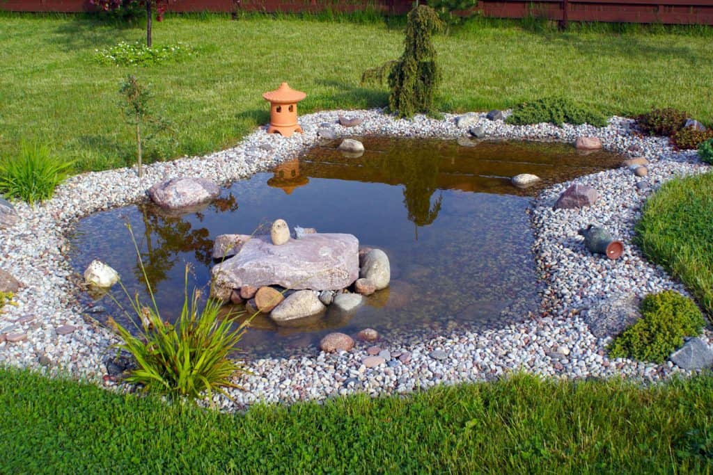 A small pond with landscaping on the side for diversity