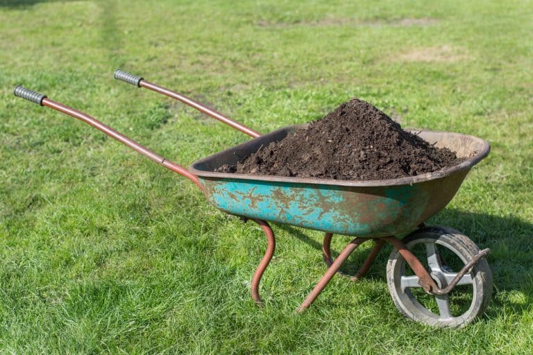 A wheel barrow filled with rich organic fertilizer, Does Lawn Fertilizer Attract Flies Or Other Insects?